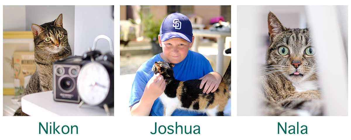 Nikon, Joshua and Nala