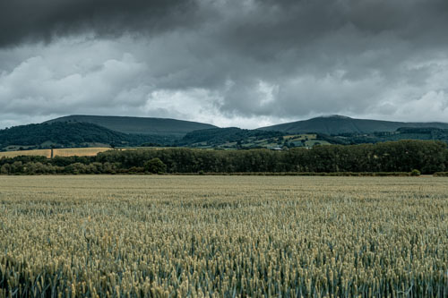 20210625 Hay on Wye 007