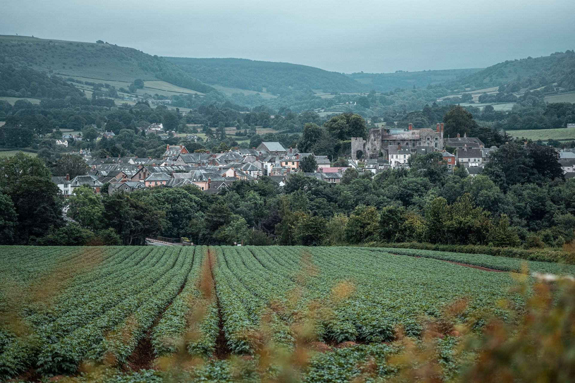 Things to do in Hay-on-Wye