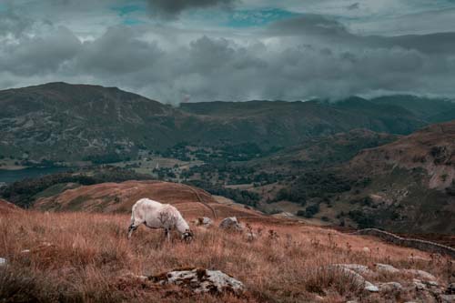 20210815 Lake District 098