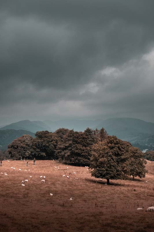 20210816 Lake District 081