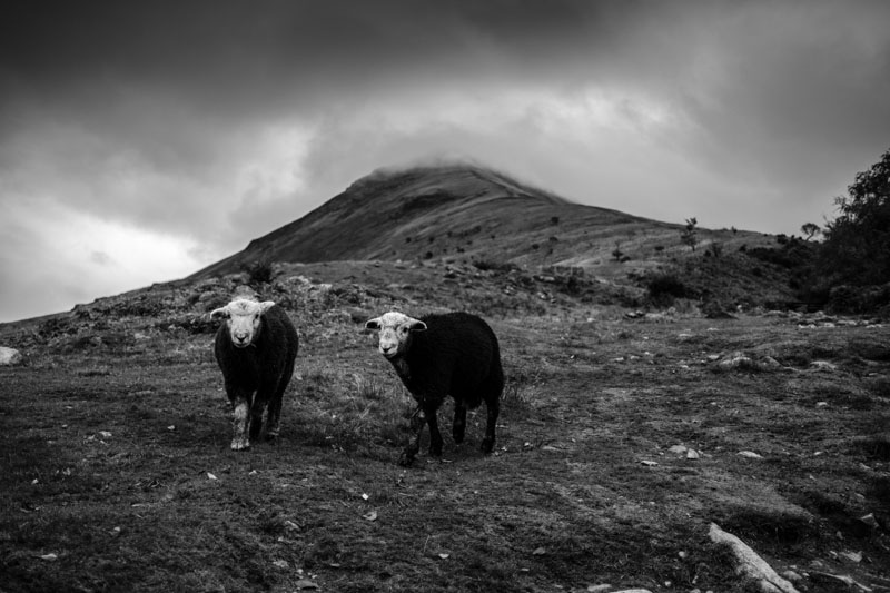 20210925 National Three Peaks Challenge 015 1