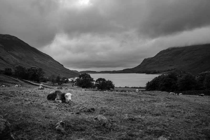 20210925 National Three Peaks Challenge 017 1