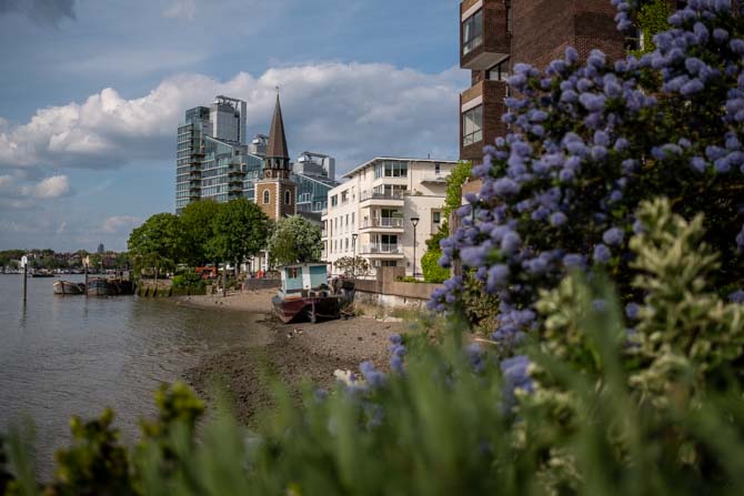 The Thames Path London, taken on the stretch between Westminster Bridge and Putney Bridge with shrubs at the bottom and right of the frame.