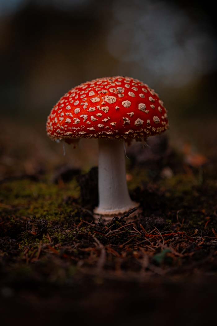 20211028 Photography Composition 027