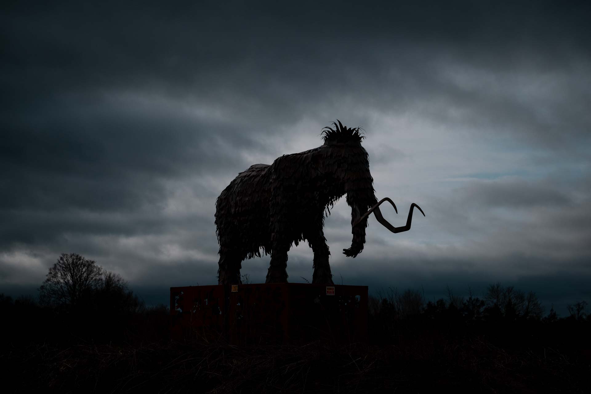 Shropshire Sculpture Park - a Wooly Mammoth in the Extinction Trail